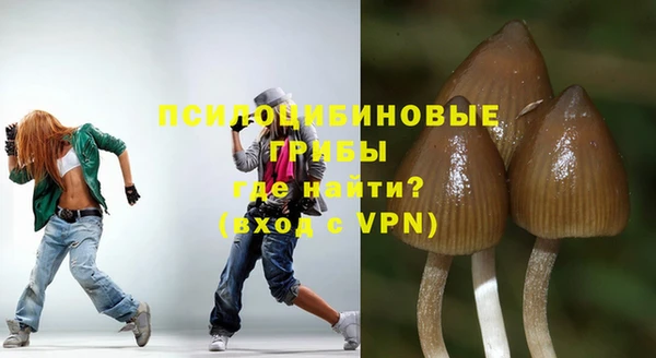 спиды Арсеньев