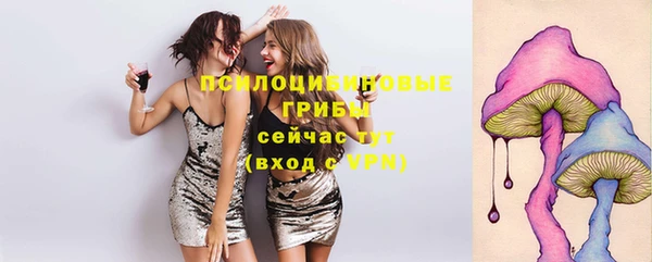 спиды Арсеньев
