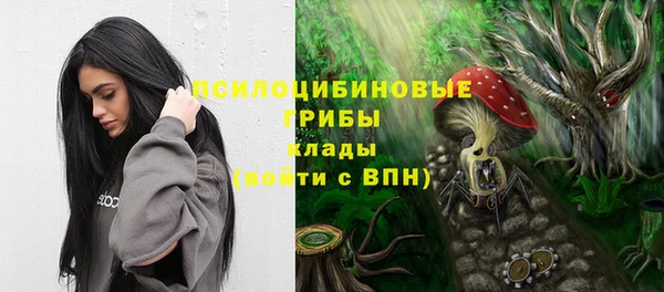 кокс Армянск
