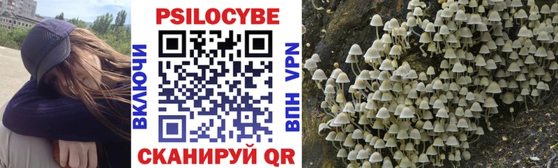 Псилоцибиновые грибы прущие грибы  купить   мега онион  Саки 